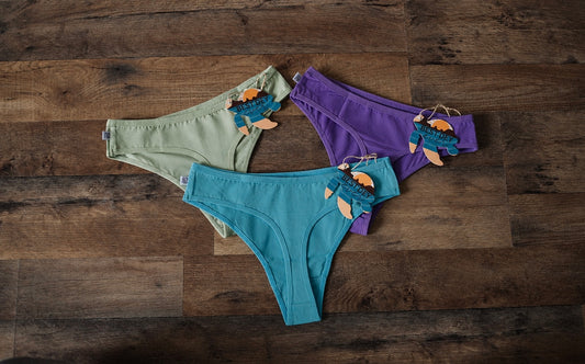 Adult Women Thong Underwear